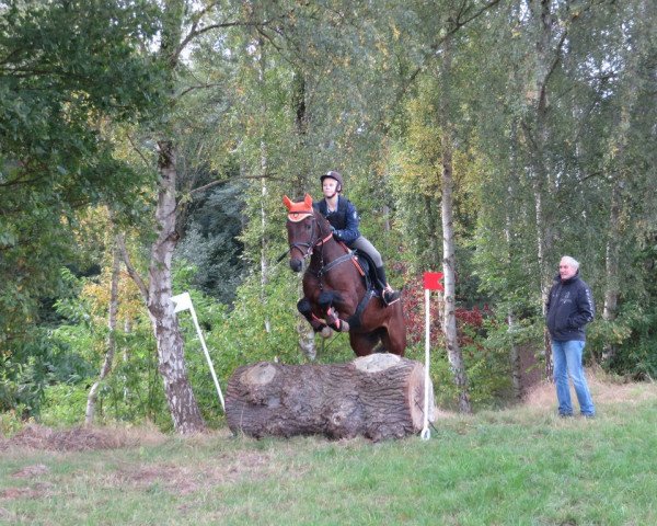 jumper Quel Filou 9 (Westphalian, 2007, from Quinta Real)