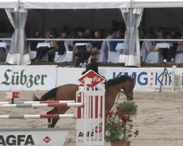 FEI Reitturnier Sommerstorf (GER) 2015