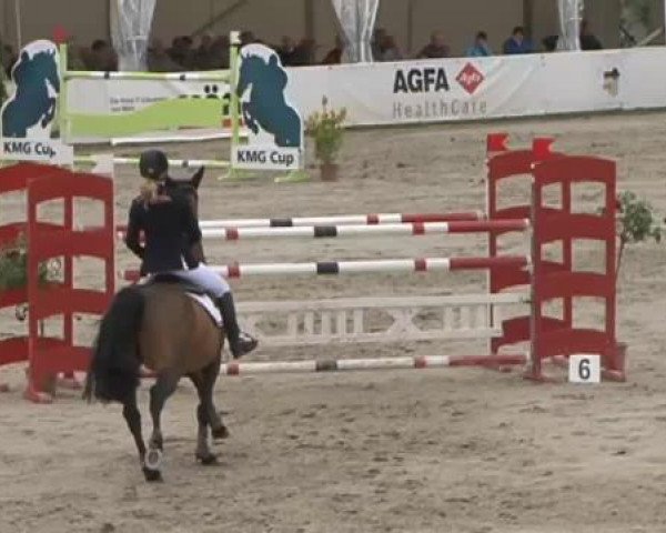 FEI Reitturnier Sommerstorf (GER) 2015
