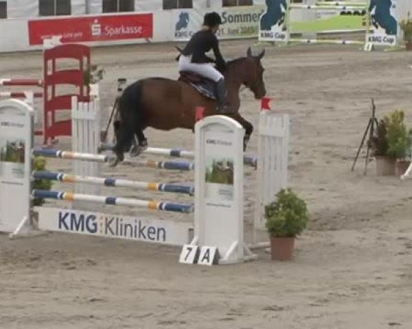 FEI Reitturnier Sommerstorf (GER) 2015