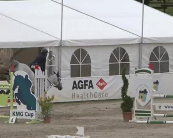 FEI Reitturnier Sommerstorf (GER) 2015