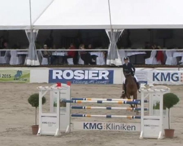 FEI Reitturnier Sommerstorf (GER) 2015
