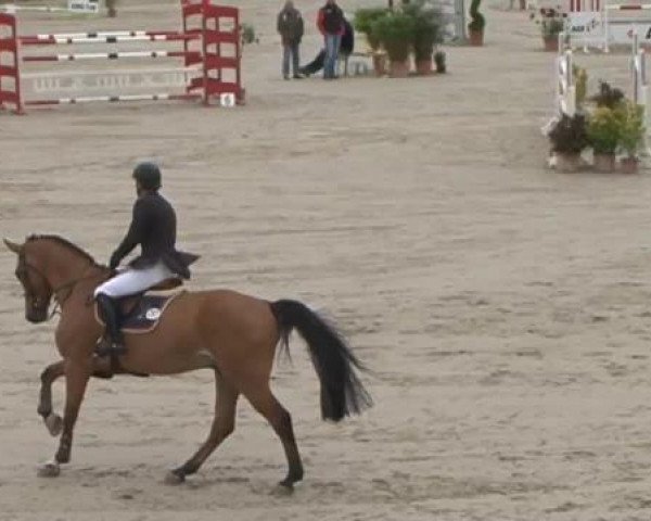 FEI Reitturnier Sommerstorf (GER) 2015