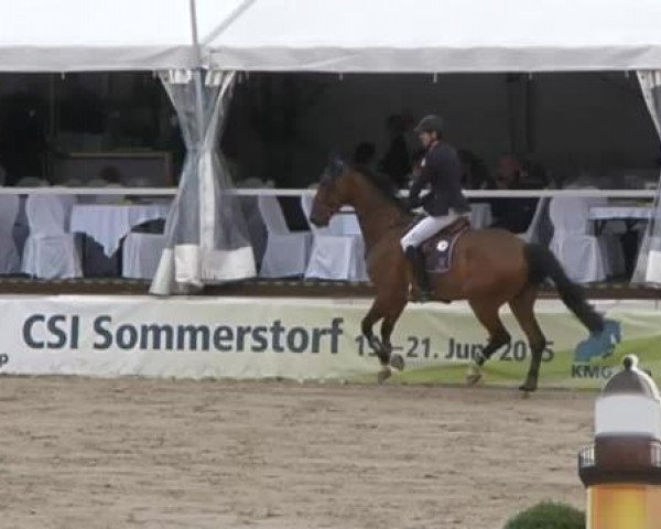FEI Reitturnier Sommerstorf (GER) 2015