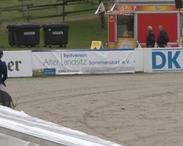 FEI Reitturnier Sommerstorf (GER) 2015