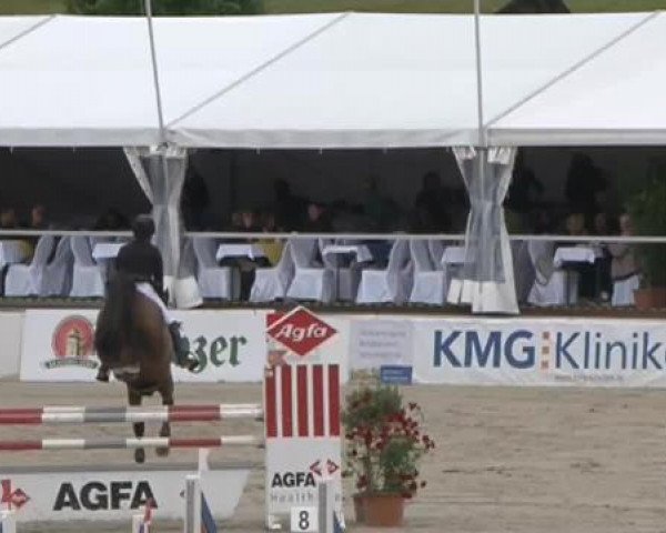 FEI Jezdecký turnaj Sommerstorf (GER) 2015