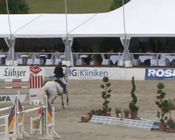 FEI Reitturnier Sommerstorf (GER) 2015