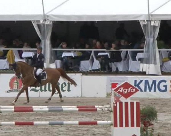 FEI Reitturnier Sommerstorf (GER) 2015