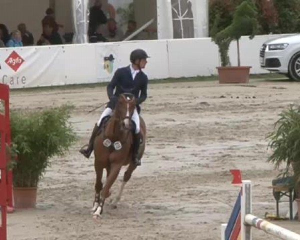 FEI Reitturnier Sommerstorf (GER) 2015