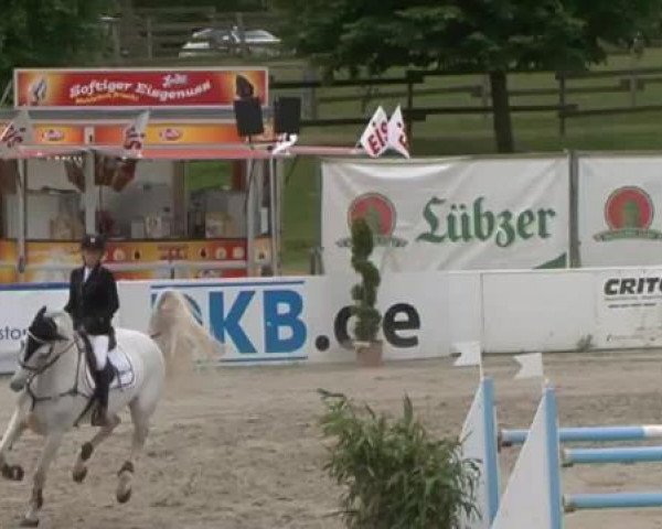FEI Reitturnier Sommerstorf (GER) 2015