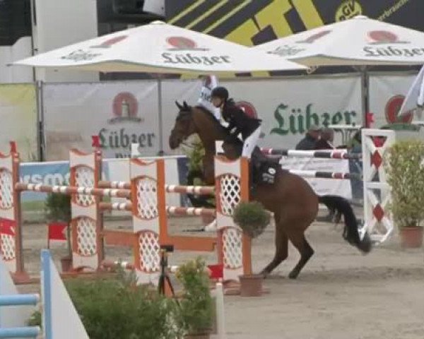 FEI Reitturnier Sommerstorf (GER) 2015