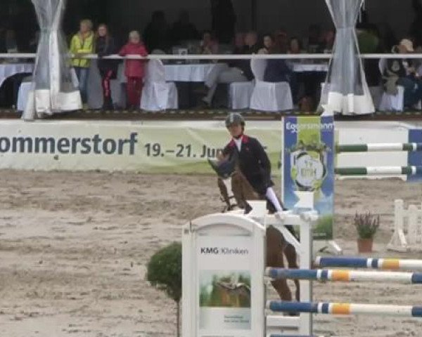 FEI Reitturnier Sommerstorf (GER) 2015