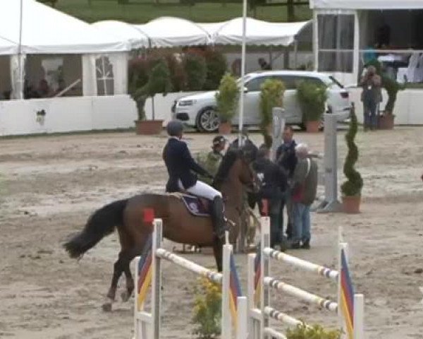 FEI Reitturnier Sommerstorf (GER) 2015