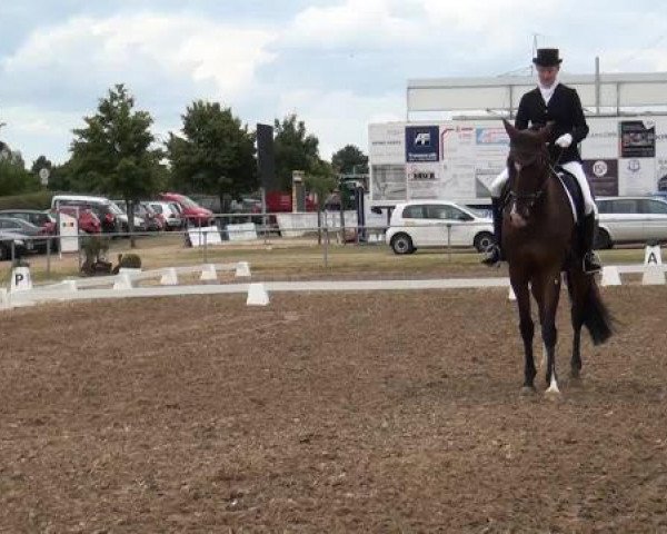 Sommerturnier RFV Heinsberg 2015