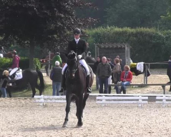 Sommerturnier Fröndenberg 2015