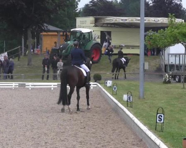 Sommerturnier Fröndenberg 2015