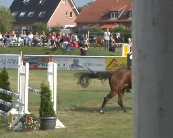 Fehmarn Pferdefestival 2015