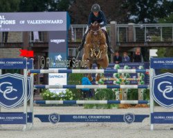 jumper Aris Cms (KWPN (Royal Dutch Sporthorse), 2005, from Nassau)