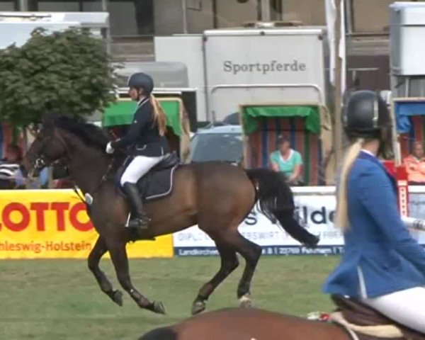 Fehmarn Pferdefestival 2015
