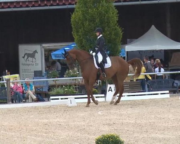 Dressurturnier Brunnthal-Riedhausen 2015
