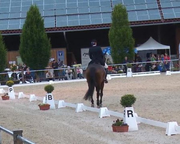 Dressurturnier Brunnthal-Riedhausen 2015