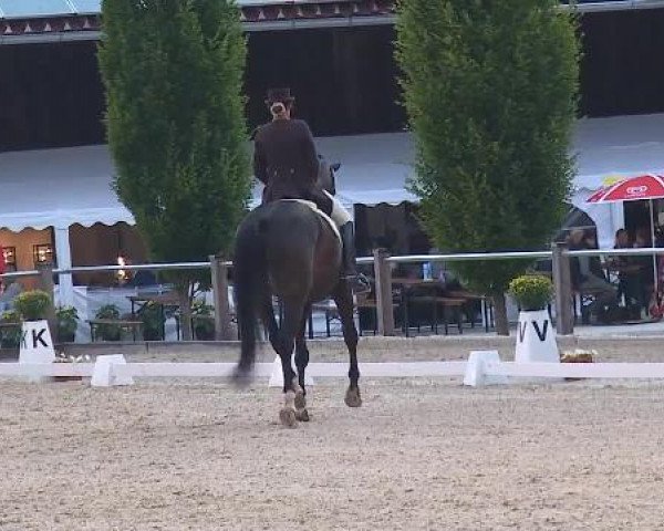 Dressurturnier Brunnthal-Riedhausen 2015