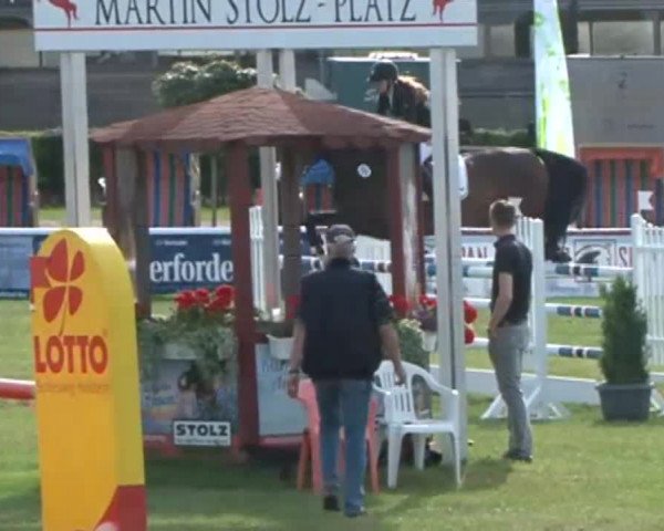 Fehmarn Pferdefestival 2015