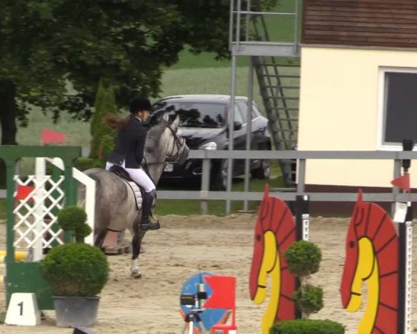 Reitturnier Kalenborn Hegehof 2015