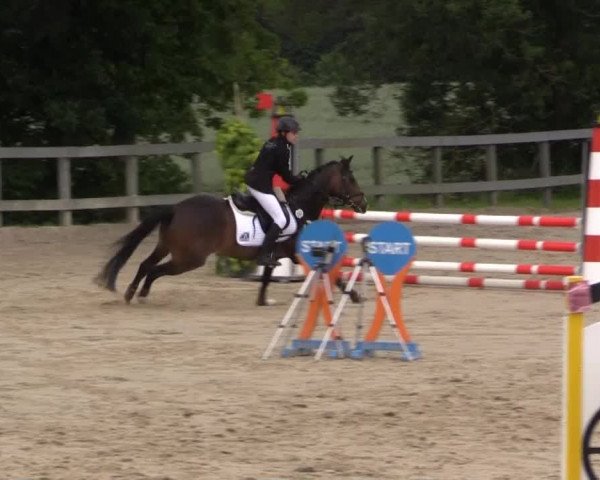 Reitturnier Kalenborn Hegehof 2015