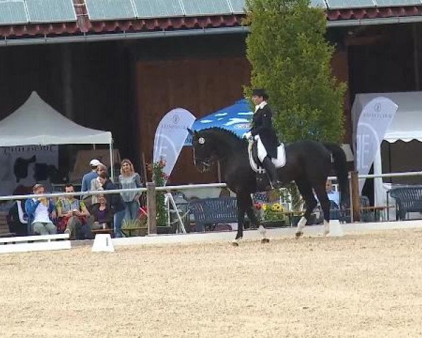 Dressurturnier Brunnthal-Riedhausen 2015