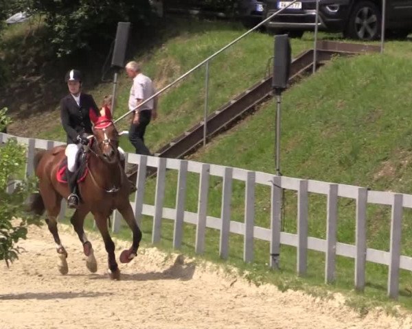 Reitturnier Kalenborn Hegehof 2015