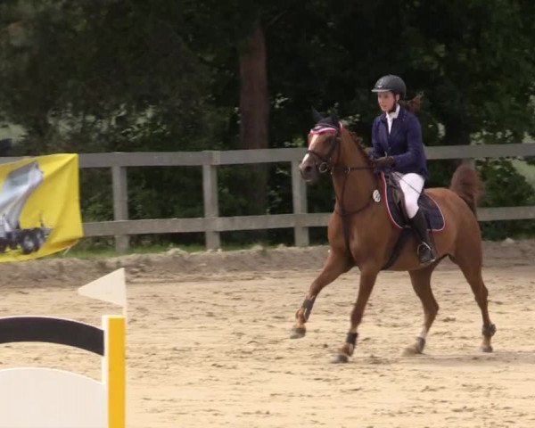 Reitturnier Kalenborn Hegehof 2015