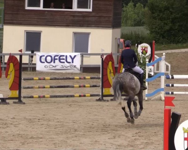 Reitturnier Kalenborn Hegehof 2015