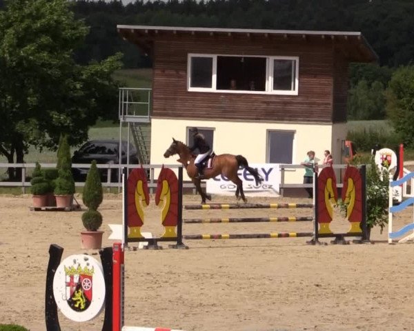 Reitturnier Kalenborn Hegehof 2015