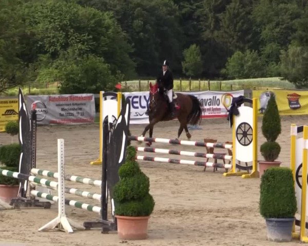 Reitturnier Kalenborn Hegehof 2015