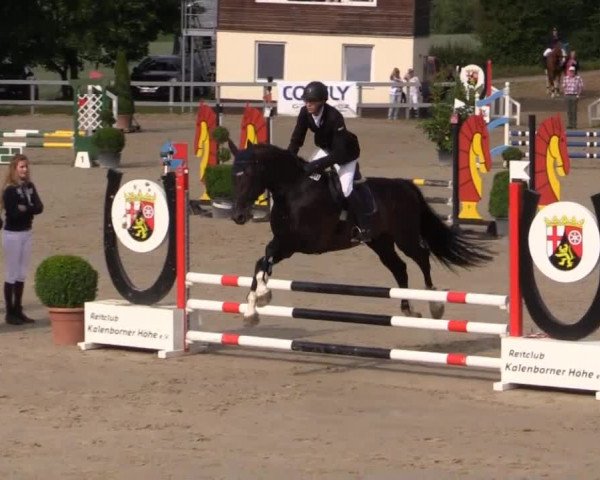 Reitturnier Kalenborn Hegehof 2015