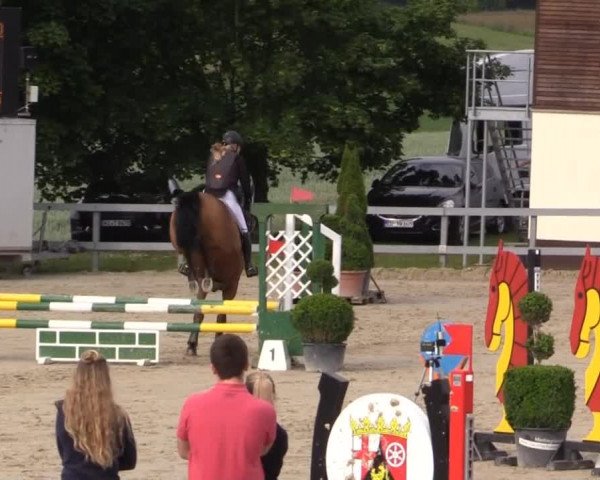 Reitturnier Kalenborn Hegehof 2015