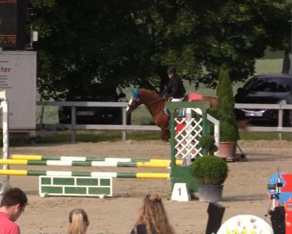 Reitturnier Kalenborn Hegehof 2015