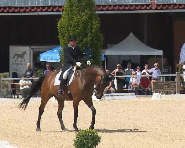 Dressurturnier Brunnthal-Riedhausen 2015