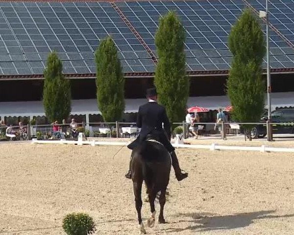 Dressurturnier Brunnthal-Riedhausen 2015