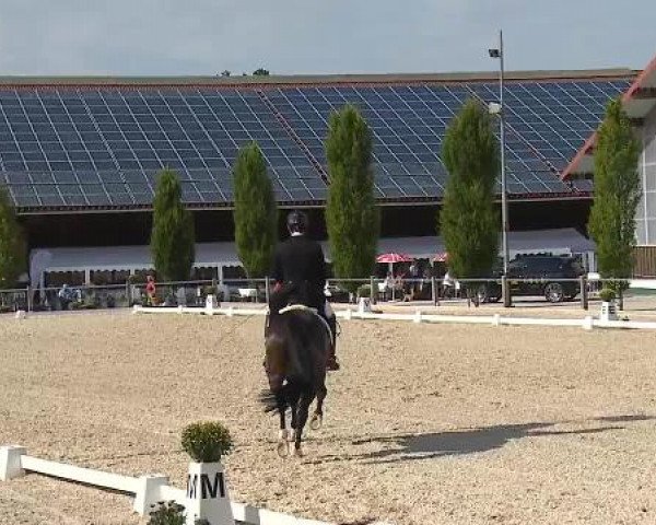Dressurturnier Brunnthal-Riedhausen 2015