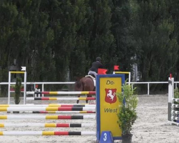 Reit-und Springturnier Dortmund West 2015