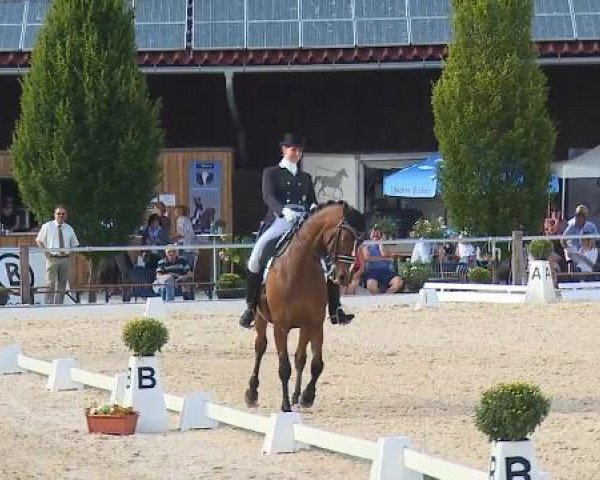Dressurturnier Brunnthal-Riedhausen 2015