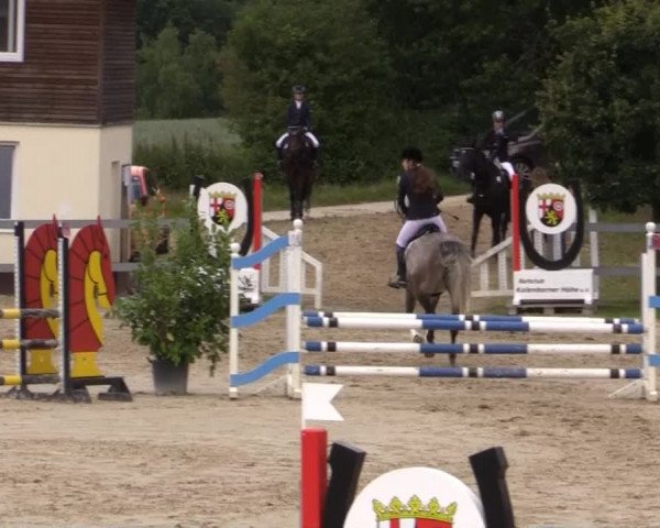 Reitturnier Kalenborn Hegehof 2015