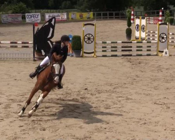 Reitturnier Kalenborn Hegehof 2015