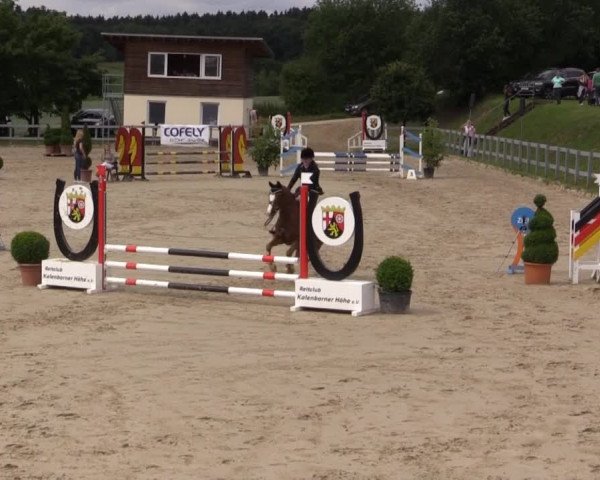 Reitturnier Kalenborn Hegehof 2015