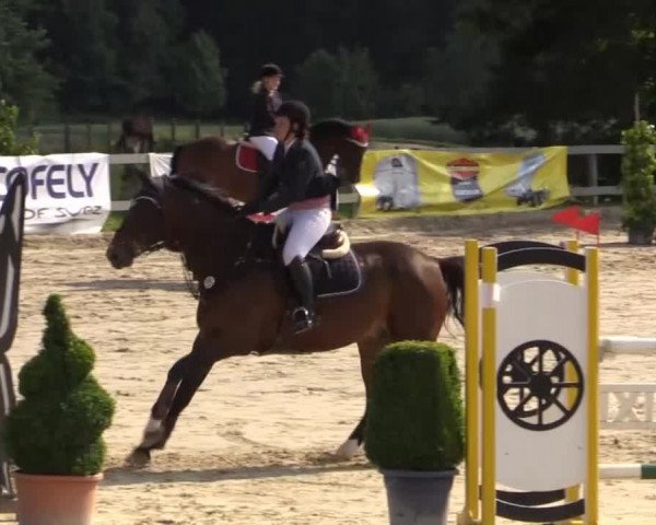 Reitturnier Kalenborn Hegehof 2015