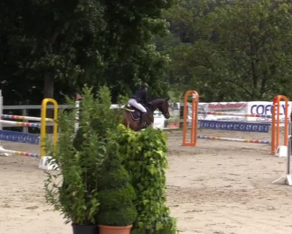 Reitturnier Kalenborn Hegehof 2015
