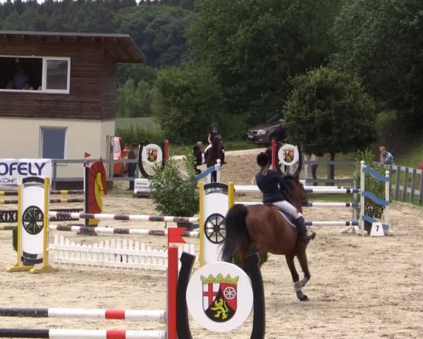 Reitturnier Kalenborn Hegehof 2015