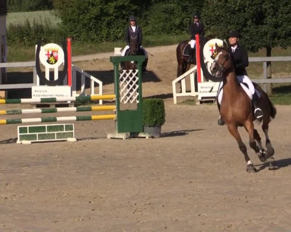 Reitturnier Kalenborn Hegehof 2015